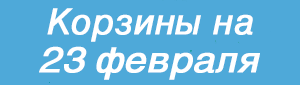23 Февраля